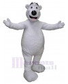 Bear mascot costume