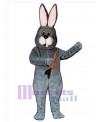 Easter Bunny Rabbit mascot costume