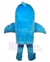 Dolphin mascot costume