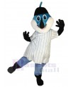 Dolphin mascot costume