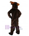 Cattle mascot costume