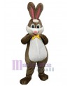 Rabbit mascot costume