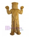 Gopher mascot costume