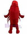 Lobster mascot costume