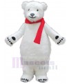 Bear mascot costume