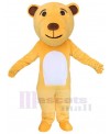 Bear mascot costume