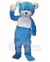 Bear mascot costume