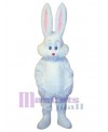 Easter Bunny Rabbit mascot costume