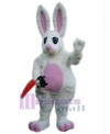 Easter Bunny Rabbit mascot costume