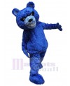 Bear mascot costume