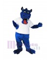 Dragon mascot costume