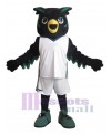 Owl mascot costume