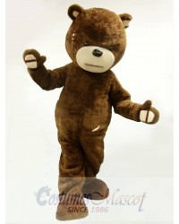 Naughty Bear Mascot Costume