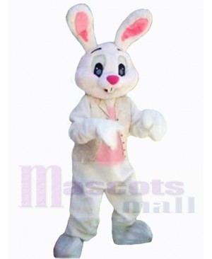 Lovely Easter Bunny Rabbit Mascot Costume Animal