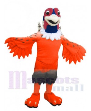 Pheasant Mascot Costume For Adults Mascot Heads