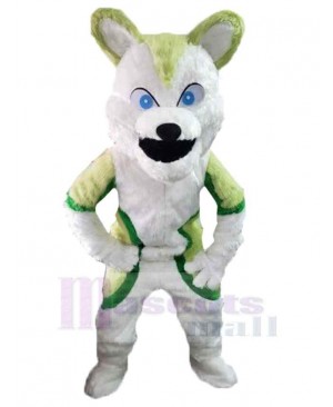 Funny Wolf Mascot Costume Animal with Blue Eyes