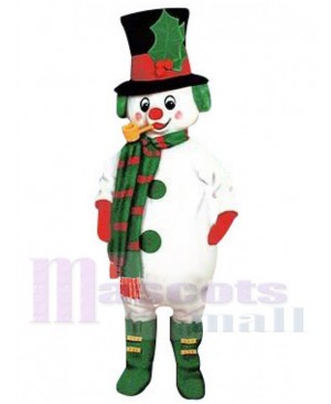 Snowman Leprechaun Elf Mascot Costume Cartoon