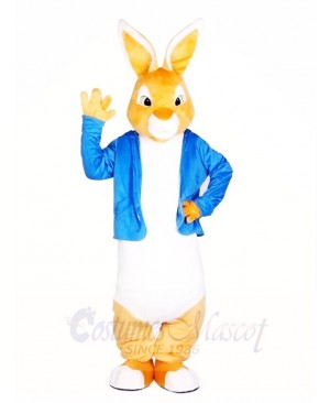 Peter Rabbit Easter Bunny Mascot Costumes Cartoon