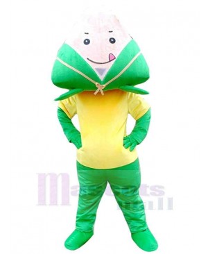 Hot Selling Tasty Rice Dumpling Mascot Costume Food