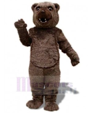 Plush Material Brown Bear Mascot Costume For Adults Mascot Heads