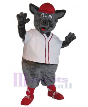 Pig with Red Hat Mascot Costume Animal